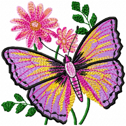 Butterfly Embroidery Design 11